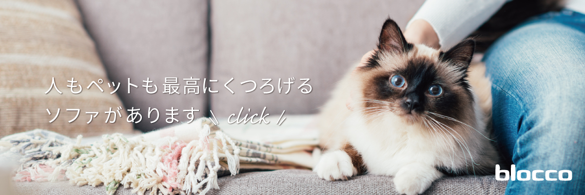 ソファに猫が粗相する原因とその対処法を解説 ブログ 札幌 青山のオーダーソファ Blocco ブロッコ