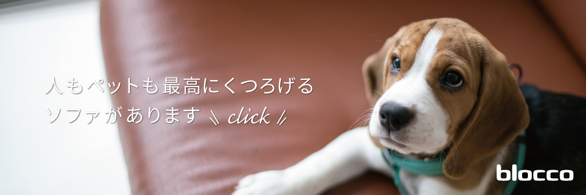 犬がソファを掘るのはなぜ 穴掘り対策やソファの選び方をチェック ブログ 札幌 青山のオーダーソファ Blocco ブロッコ